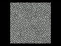 Large version of initial stages of pore self assembly.
