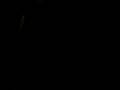 videos de verjaardag miepmop