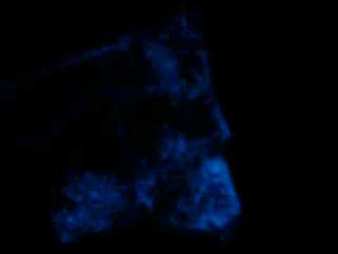 Click to play video.
