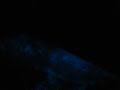 Bioluminescent Plankton