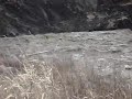 MOV00259.MPG