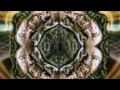 Soundtrack Of Our Lives Ego Delusion Video and Lyrics