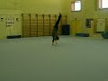 Gymnastics
