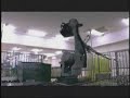 Hitachi Plasma Manufacturing