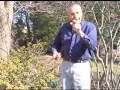 Virginia Farm Bureau - In the Garden - Soil Preparation Virginia Farm Bureau - In the Garden - Soil Preparation