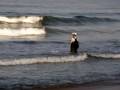 videos de sunset beach california