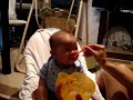 piggy starts solids