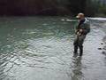 videos de Dolly Varden on the fly