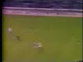 Condor Rojas