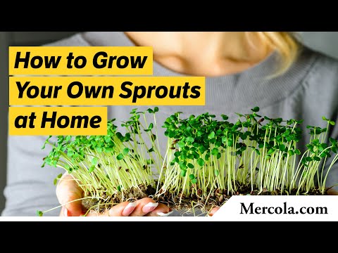 Is It Time to Start Growing Your Own Food? – mercola.com