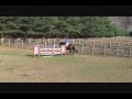Karma Parfait , Fabian Herrera, at Cross Ridge Farm Nov 7, 2009