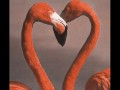 El amor!!