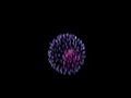 FIREWORKS 4TH OF JULY 2006:ALHAMBRA CALIFORNIA USA 9:00 PM