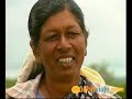 29-01_-_Mauricio.wmv