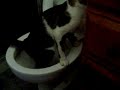 Kilt no Vaso - Kilt in bathroom