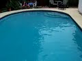 Fay Vs. My Pool/yard Day 3(final)