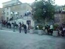 Horses in Valle dell\ Horses in Valle dell\