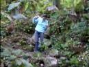 Ara�as y Mara
