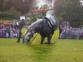 picadero del rocio   alblasserdam 2007