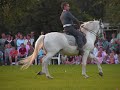 picadero del rocio   alblasserdam 2007