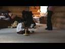 Josie reading and Shane crawling