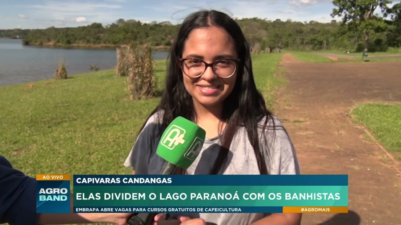 Capivaras Candangas: Elas dividem o Lago Paranoá com os banhistas