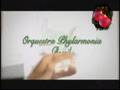 videos de Aracruz Celulose