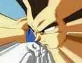 Vegeta Bulma