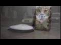 Beat Factory feat. Massiv 4 - Sugar Sugar (club mix)