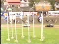 Aby Stora Pris 1994 -Houston Laukko
