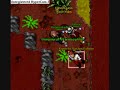 Tibia isara pk Tibia isara pk