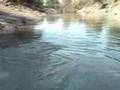 Rod And Reel Gator Gar Fishing #01