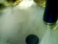 gelato-allazoto-01.html