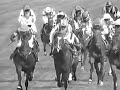 dark side of horse racing dark side of horse racing