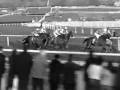 dark side of horse racing
