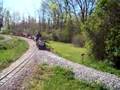 Train 1677 BITNER