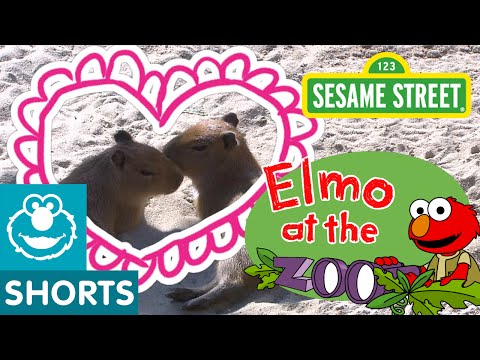 Sesame Street 03 - Elmo Loves Animals Thumbnail