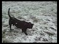 Paxx searching