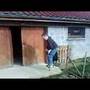 POGO STICK