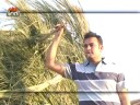 yosef zanyar(wefa daran) yosef zanyar(wefa daran)