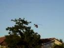 Bell 222 on TRex 450SE