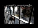 Campanha ficticia:Meninos de rua, Problema Social Campanha ficticia:Meninos de rua, Problema Social
