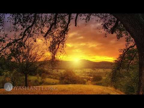 Adyashanti Audio: The Consequences of Our Attachments