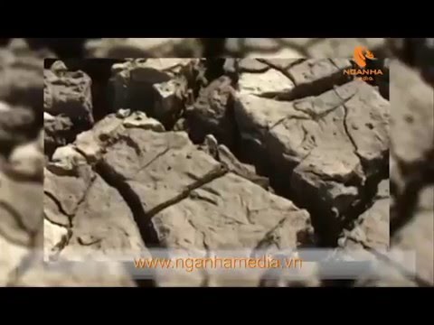 Giới thiệu phóng sự "Ứng phó với biến đổi khí hậu vùng miền núi Việt Nam" 