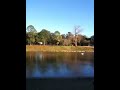 Lazy Cane River Lake of Natchitoches