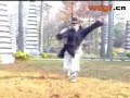 Wudang Gongfu Fuhu Quan