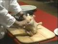 How to bone a chicken, Martin Yan Part4