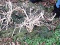 Extreem Paintball Snipers (how to ghilie up)