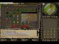 Runescape 99 Herblore