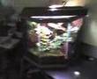 My Vivarium Finished